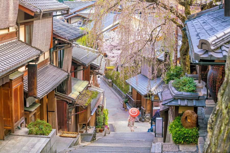 Kyoto:Private Tour/Luxury Vehicle with Guide & photographer - Arashiyama bamboo forest: beautiful, brief, and busy
