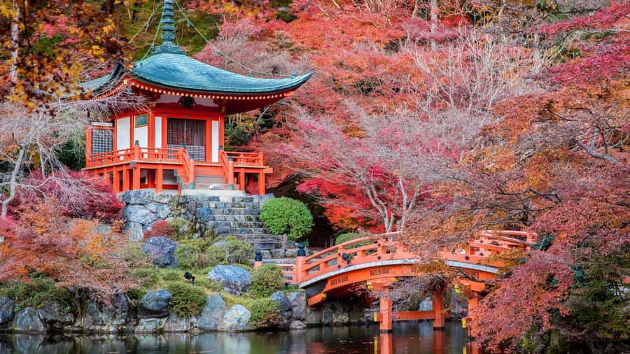 Kyoto:Private Tour/Luxury Vehicle with Guide & photographer - Guide knowledge, local help, and the human side