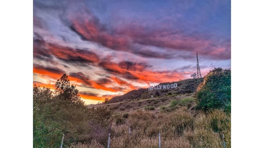 LA: Hollywood Sign Tour with Comedians, Dogs, & Epic Photos - Dogs, families, and group atmosphere