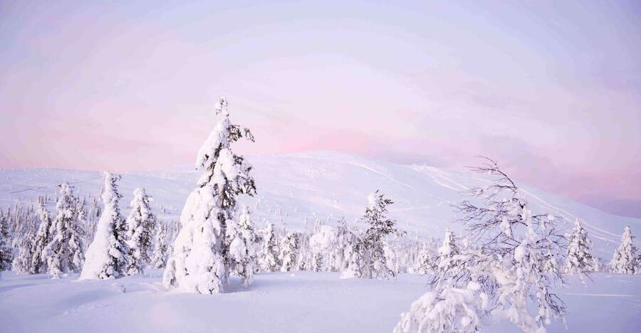 Levi: Pallas National Park Adventure with Pro Photos & BBQ - Photographing the Arctic with a professional guide