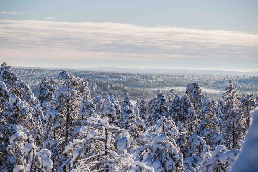Levi: Pallas National Park Adventure with Pro Photos & BBQ - Practical tips for a better day