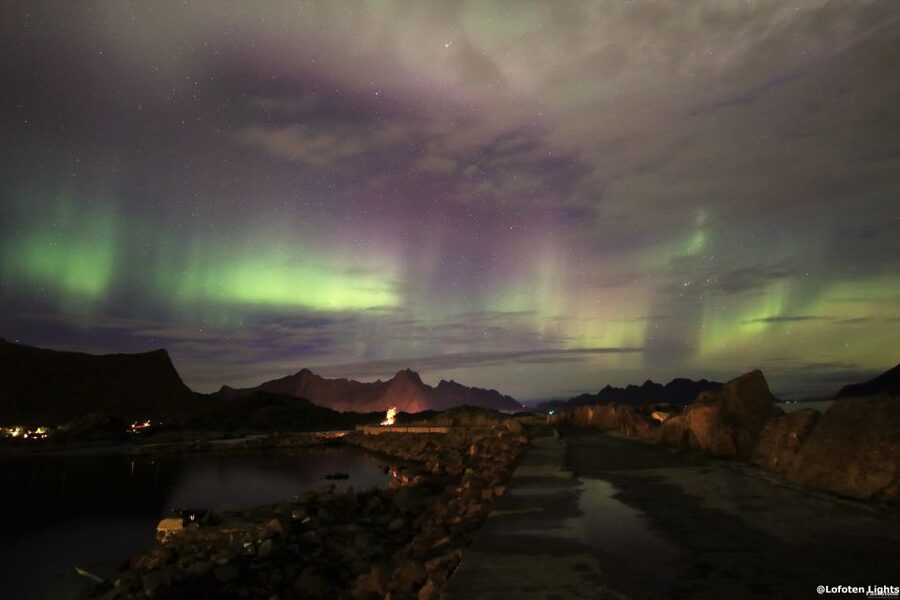 Lofoten: Northern Lights Tour with Photographer - Key points to know before you book