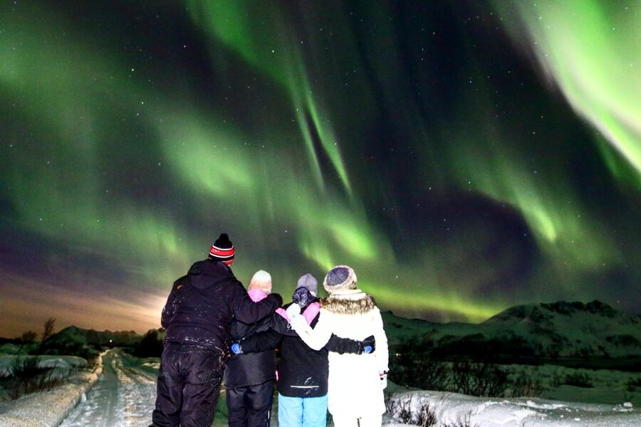 Lofoten: Northern Lights Tour with Photographer - What the strongest feedback tells you