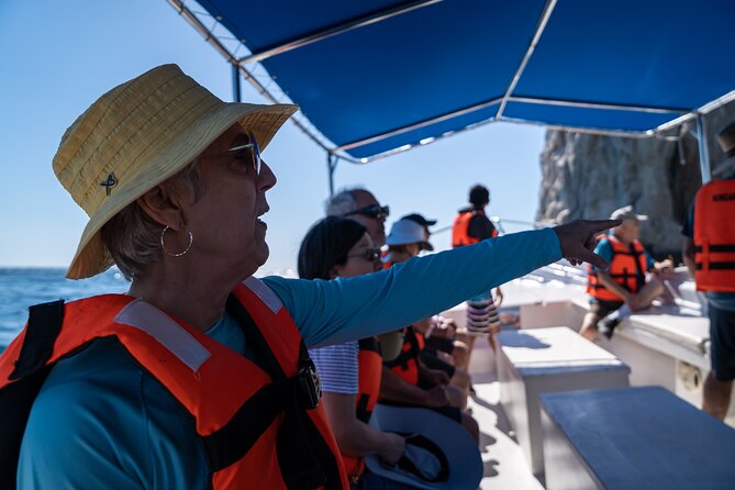 Los Cabos Whale Watching (Transportation and Pictures Included) - Why the guide matters between sightings