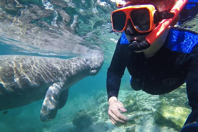 Manatee Swim Tour with In Water Photographer - Key points at a glance