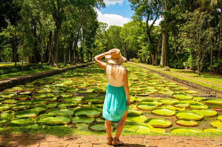 Mauritius: Private Full-Day Iconic Instagram Spots - Key points to know before booking