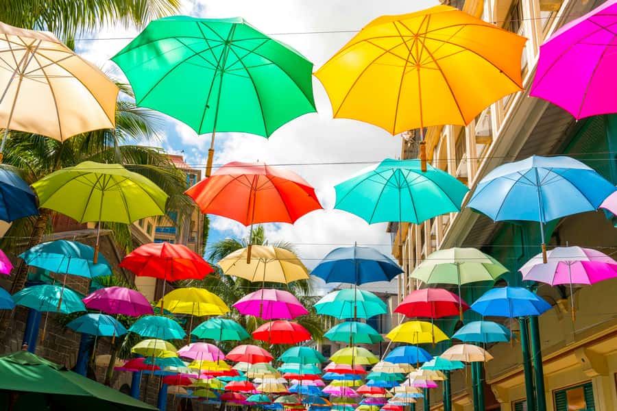 Mauritius: Private Full-Day Iconic Instagram Spots - Pamplemousses Botanical Garden and the Talipot Palm
