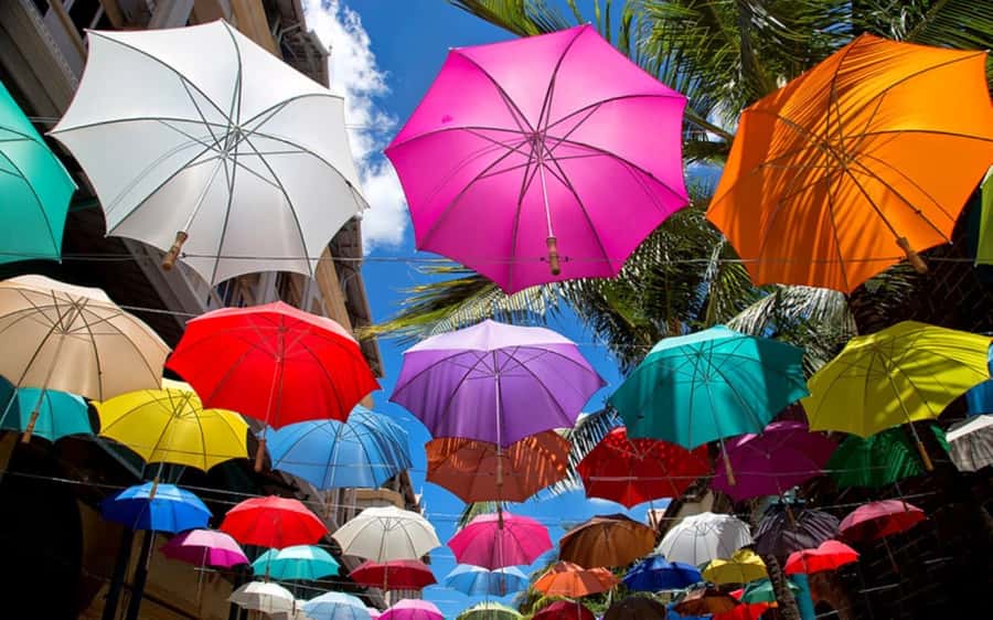 Mauritius: Private Full-Day Iconic Instagram Spots - Chamarel 7 Colored Earth and its unusual dunes