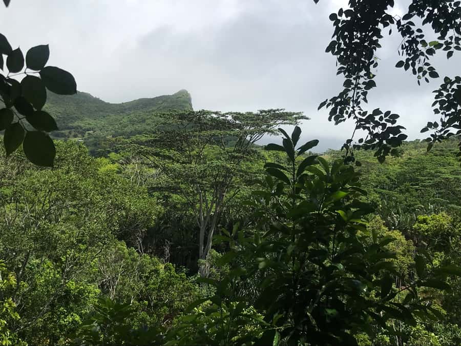 Mauritius: Private Full-Day Iconic Instagram Spots - Lunch, shopping, and the cost of a full-day private car