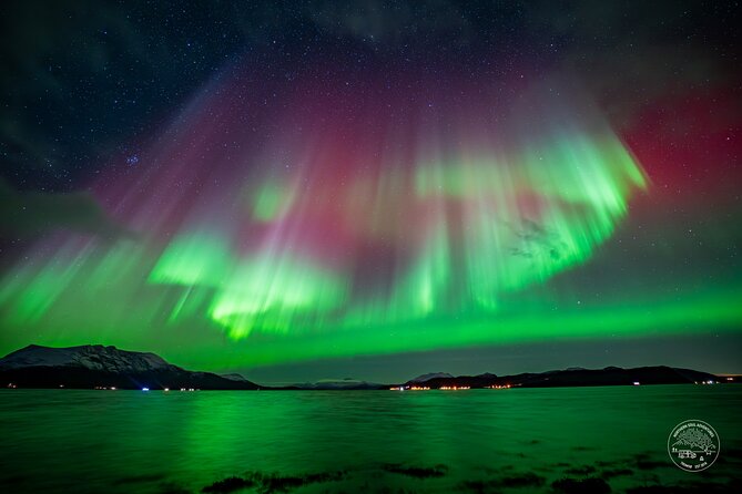 Minibus Northern Lights Chase with Photography from Tromsø - Key points before you book