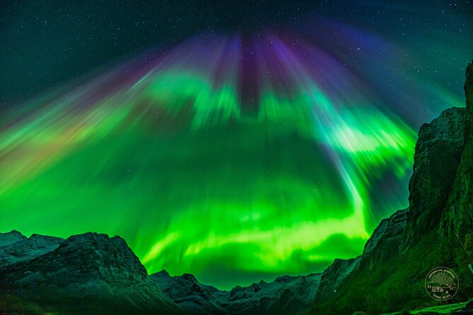 Minibus Northern Lights Chase with Photography from Tromsø - Campfire food, thermal suits, and the waiting game