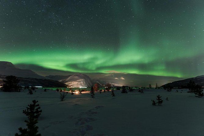 Minibus Northern Lights Chase with Photography from Tromsø - The guides make or break the experience