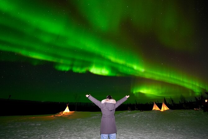 Mountaintop 360° Best Alaskan Cabin with Photography @Aurora Camp - Key points to know before you book