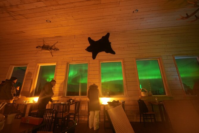 Mountaintop 360° Best Alaskan Cabin with Photography @Aurora Camp - Stepping into the 10-acre viewing yard