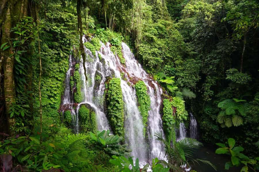 North Bali: Full-day Highlights Instagram Tour - The long road from Bali’s south to North Bali
