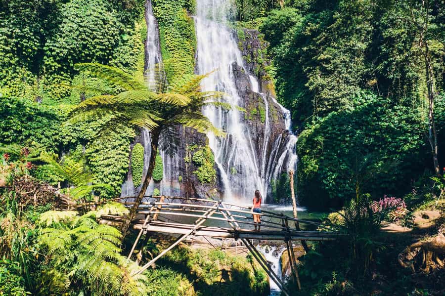 North Bali: Full-day Highlights Instagram Tour - Wanagiri Hill and the twin lakes