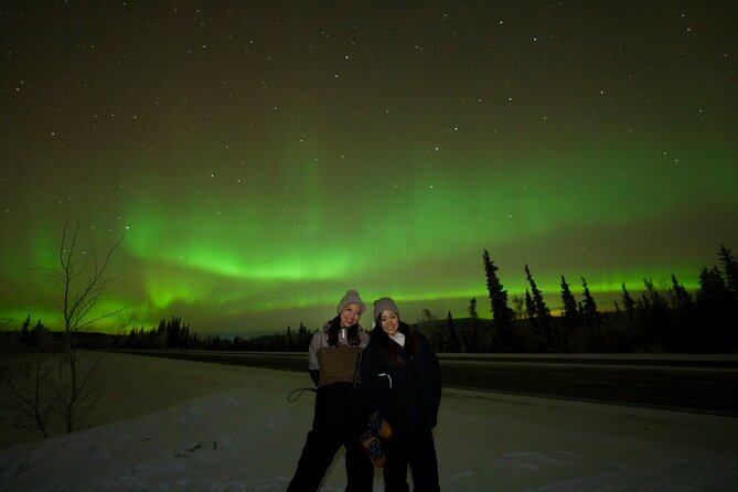 Northern Lights Aurora Tour with FREE Photography - The aurora itself: green, purple, pink, red, and blue