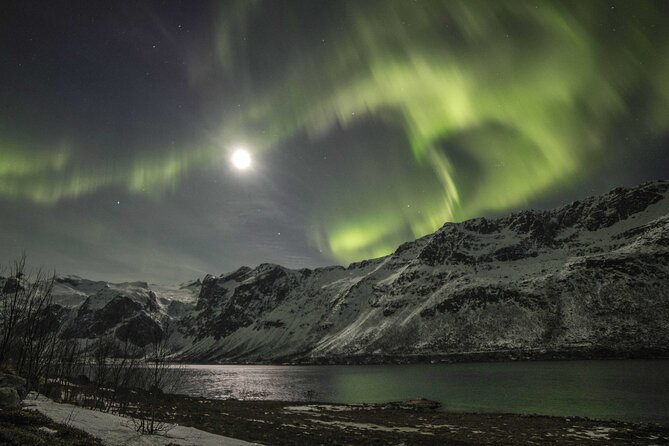 Northern Lights Chase with Photography from Tromsø - The road conditions are part of the risk