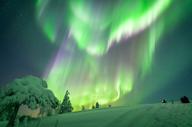 Northern Lights Photography Tour from Rovaniemi - Key points before you book