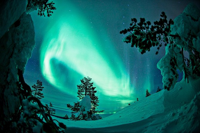 Northern Lights Photography Tour from Rovaniemi - Is $213 fair value?