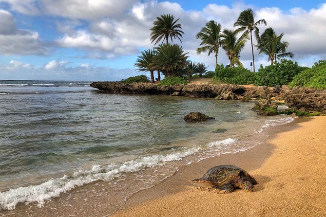 Oahu Island Photography Tour - North Shore surf, beaches, and sea turtles