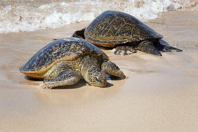 Oahu Island Photography Tour - What the photography coaching is really like