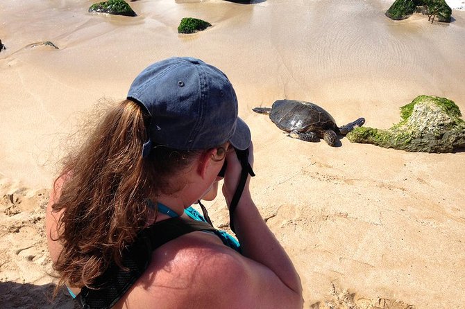 Oahu Island Photography Tour - Is $150 a fair price for eight hours?