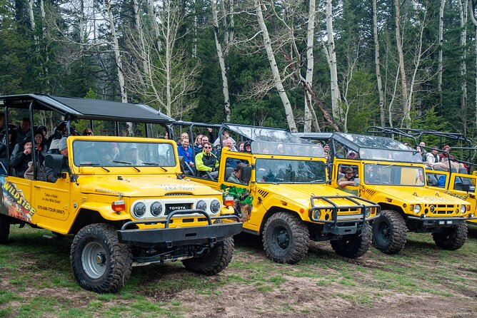 Panoramic Peak Tour (Wildside 4x4 Tours) - What makes the 4x4 ride worthwhile