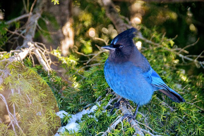 Photography & Advanced Hiking - Leaving Vancouver on the Sea-to-Sky Highway