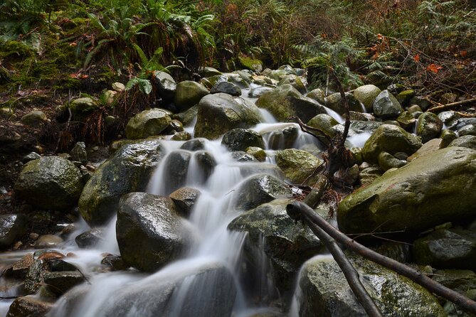 Photography, Gondola & Snowshoeing - The drive from Vancouver to the Sea to Sky region
