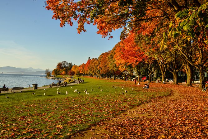 Photography & Hiking in Nature - Granville Island is the lunch stop with a camera in hand