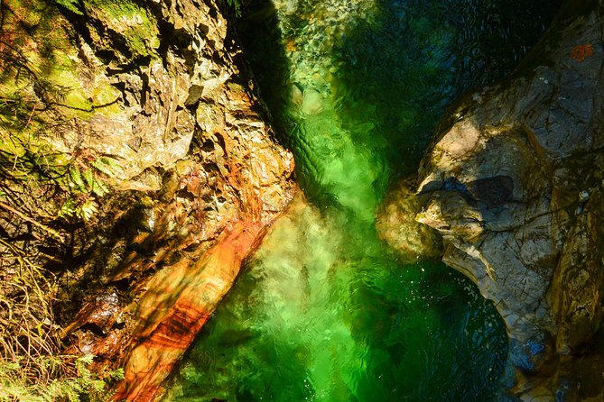 Photography in Rainforest & Suspension Bridge - What the photo lesson actually covers