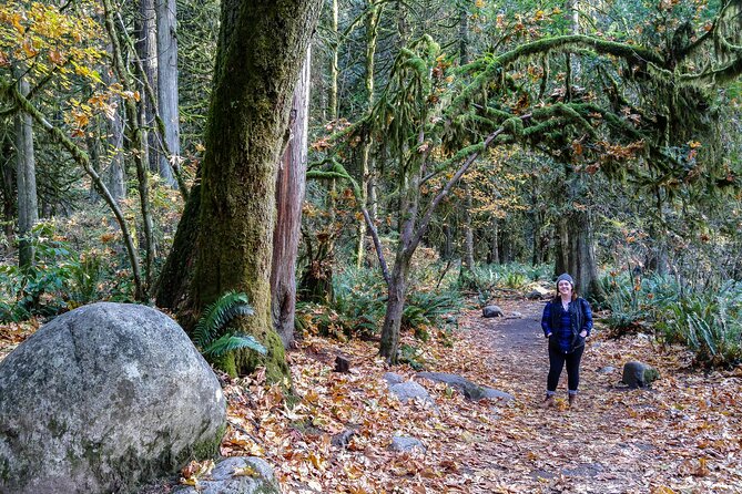 Photography in Rainforest & Suspension Bridge - Stop two: Cleveland Dam and a change of scenery
