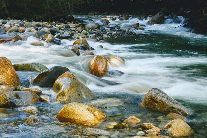 Photography in Rainforest & Suspension Bridge - What the strongest praise tells you
