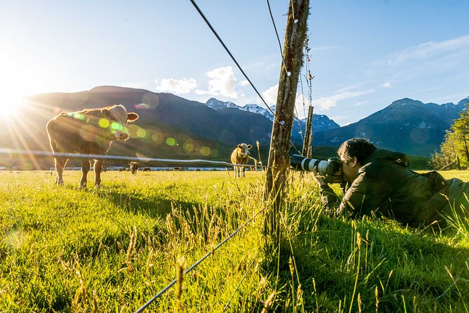 Photography Tour from Queenstown to Glenorchy - 1/2 Day - Private touring, snacks, and the practical details