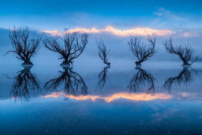 Photography Tour from Queenstown to Glenorchy - 1/2 Day - Who should book this photography trip