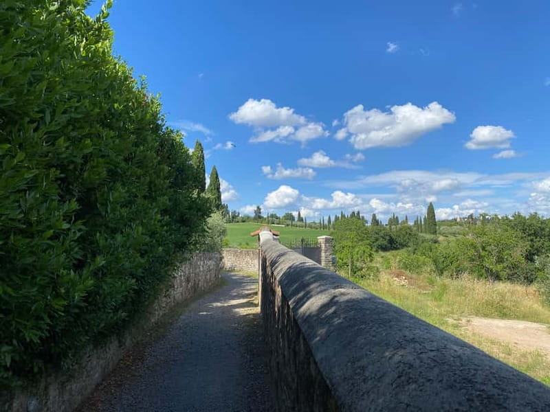 Premium Chianti E-Bike Tour, Food Wine Tasting + Photo shoot - Key points at a glance