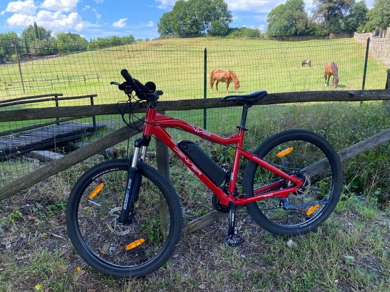 Premium Chianti E-Bike Tour, Food Wine Tasting + Photo shoot - Weather, clothing, and who should book