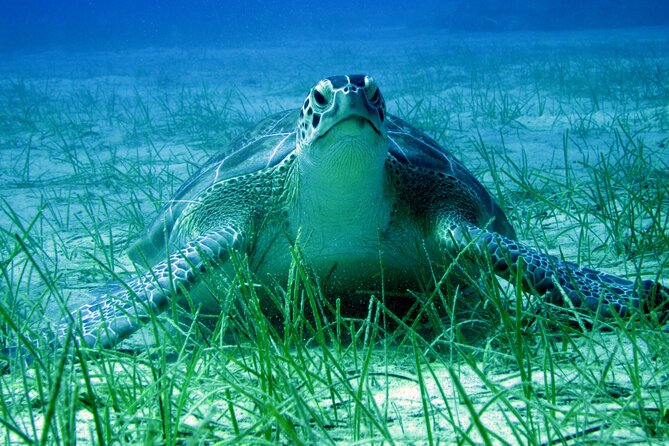 Private Discovery Dive + Photos & Videos - The equipment briefing for first-timers
