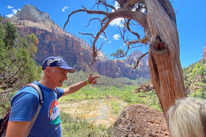 Private Guided Photography & Walking Tour of Zion National Park - Price, pace, and what $399 buys you