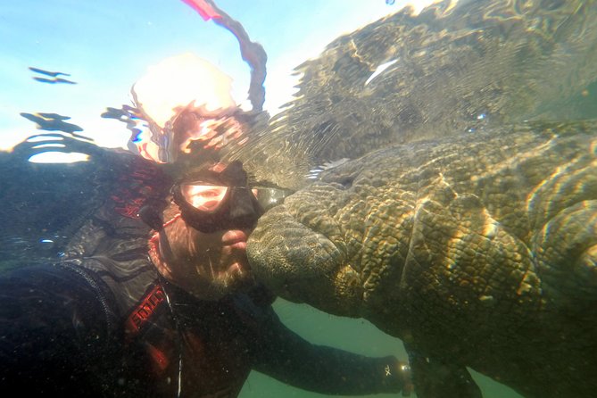 Private Manatee Swim for up to 6 with In-Water Divemaster/Photographer - Meeting a manatee in the water