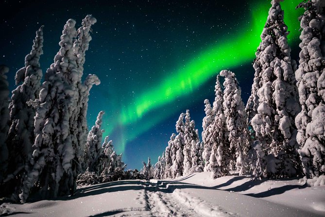 Private Northern Lights photography tour in Rovaniemi - Two or three dark-sky stops, chosen on the spot