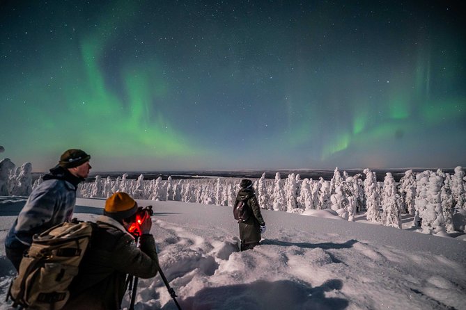 Private Northern Lights photography tour in Rovaniemi - Warm breaks, snacks, and the human side of the night