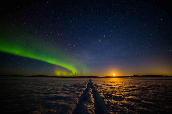 Private Northern Lights photography tour in Rovaniemi - Price, timing, and the cancellation risk