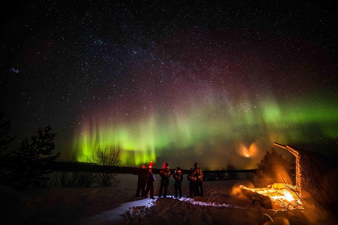 Private Northern Lights photography tour in Rovaniemi - Who should choose this private search?