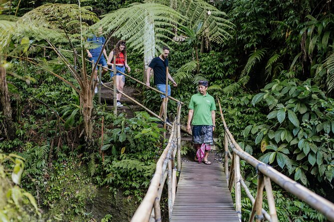 Quick Access: The Bali Instagram Small Group Tour - Who should book this experience?