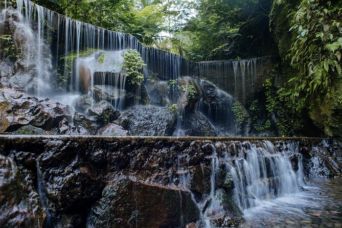 Quick Access: The Bali Instagram Small Group Tour - Goa Raja Waterfall starts the photographic route