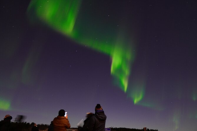 Reykjavik Northern Lights Tour with Pro Aurora Photos Small Group - Moving between locations instead of giving up
