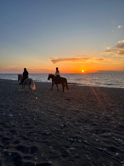 Rhodes: Horseback Riding Trip with Digital Photos - From the ranch to Rhodes countryside