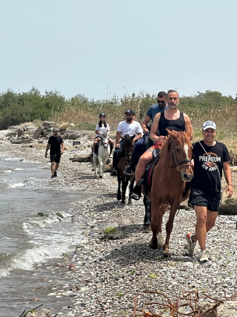 Rhodes: Horseback Riding Trip with Digital Photos - Horse care and the feel of the ranch